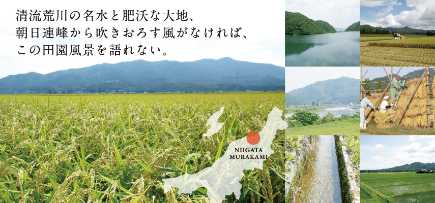 清流荒川の名水と肥沃な大地、朝日連峰から吹きおろす風がなければ、この田園風景を語れない。