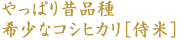 やっぱり昔品種希少なコシヒカリ[侍米]