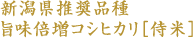 新潟県推奨品種旨味倍増コシヒカリ[侍米]